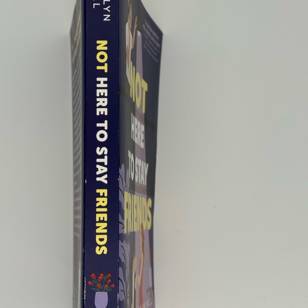 Not Here to Stay Friends by Kaitlyn Hill - Paperback - Picture 3 of 3